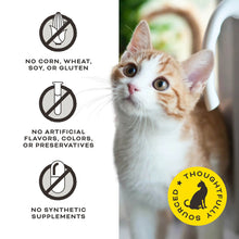 Load image into Gallery viewer, PRIMAL Freeze-dried Raw Cat Treats The G.O.A.T with Chicken & Goat Milk
