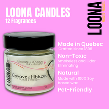 Load image into Gallery viewer, LOONA Candles Odor Eliminator - 12 Fragrances