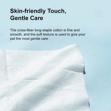 Load image into Gallery viewer, PIDAN Pet Wet Wipes 80 Sheets