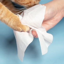 Load image into Gallery viewer, PIDAN Pet Wet Wipes 80 Sheets