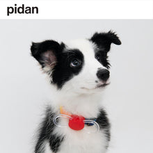 Load image into Gallery viewer, PIDAN Pet Pet Safety Night Light Collar