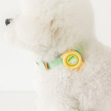 Load image into Gallery viewer, BITE ME Hate Me Band Insects Repellent Band
