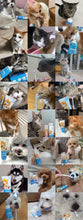 Load image into Gallery viewer, PETEDISON 🇰🇷 Liquid Toothpaste for Pets
