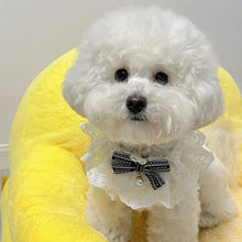 Load image into Gallery viewer, CHAGEE Limited Edition Cute Lace Collar Bow Tie for Cats
