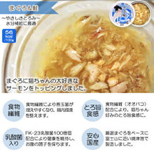Load image into Gallery viewer, AKANE 🇯🇵 Cat Wet Food with Lactic Acid Bacteria 🔥
