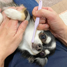 Load image into Gallery viewer, ORABIO 🇯🇵 Dental Care Brush for Pets
