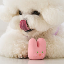 Load image into Gallery viewer, BENNY'S 🇰🇷 Animal Latex Toy - Bebe or Jello Type
