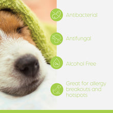 Load image into Gallery viewer, SWEDENCARE Swederma™ Keto-C® Alcohol-free Antiseptic Spray for Dogs &amp; Cats
