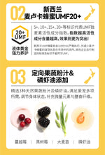 Load image into Gallery viewer, ERONE 二人一物 Lava Pudding Pet Wet Food
