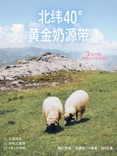 Load image into Gallery viewer, GUÀN 格吾安 Four Seasons Milkshake Cat Wet Food
