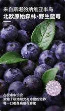 Load image into Gallery viewer, 我自有山海 Arctic Wild Blueberries Cat Wet Food【NEW】- 2 Flavors
