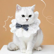 Load image into Gallery viewer, CHAGEE Limited Edition Cute Lace Collar Bow Tie for Cats
