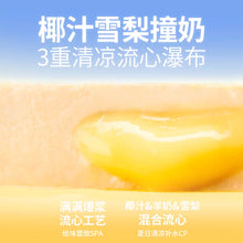 Load image into Gallery viewer, BRIGHT 布兰德 Wet Food Nutrition Box for Cats &amp; Dogs - Summer Limited Edition
