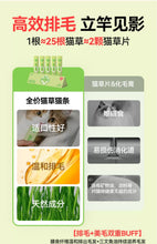 Load image into Gallery viewer, NAISY 奶思 Meat Paste Cat Treat
