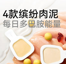 Load image into Gallery viewer, PARTNER PET 帕特 Complete Food Cat Spoon - 4 Pcs Mixed Flavors【BBD 2026.10.01】
