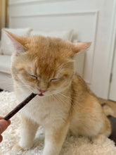 Load image into Gallery viewer, TOOCAT Cat Toy Natural Silvervine Teeth Cleaning Chew Sticks - 14 Sticks
