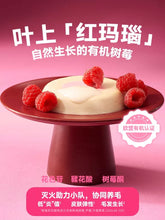 Load image into Gallery viewer, BRIGHT 布兰德 Cat Wet Food NutriBox Berry Sweartheart Pie Pie 🍓🍒

