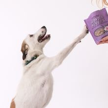 Load image into Gallery viewer, POLKADOG Wonder Nuggets Soft Chewy Bits for Dogs - Apple &amp; Pork
