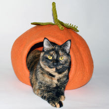 Load image into Gallery viewer, DHARMA DOG KARMA CAT Pet Bed Pumpkin Cave 🎃
