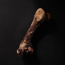 Load image into Gallery viewer, 【Best Before 2026.03】MARUMI 丸味 Air-dried Emu Bone - Limited Quantity

