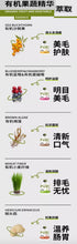 Load image into Gallery viewer, PUZI 扑吃 Hydration Organic Soup Broth for Pets
