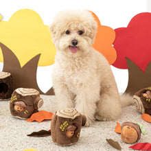 Load image into Gallery viewer, BITE ME Acorn Nosework Toy

