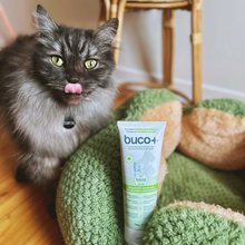 Load image into Gallery viewer, BACI+ Dental Gel Buco+ Enzymatic Care for Dogs &amp; Cats
