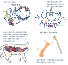 Load image into Gallery viewer, PET-EVER 生生不息 Pet Freeze-dried Treats - Chicken Necks
