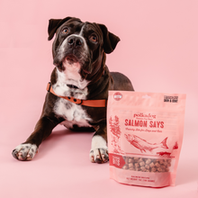 Load image into Gallery viewer, POLKADOG Salmon Says Crunchy Bits for Dogs &amp; Cats
