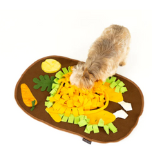 Load image into Gallery viewer, PLAY Snuffle Mat Turkey Feast
