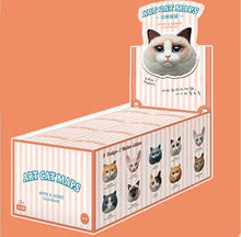 Load image into Gallery viewer, IATOYS Art Cat Map Designer Refrigerator Magnets Blind Box
