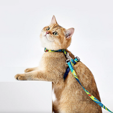 Load image into Gallery viewer, PETKIT Cat Harness and Leash Set
