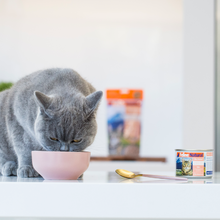 Load image into Gallery viewer, FELINE NATURAL Lamb &amp; King Salmon Feast Can for Cats
