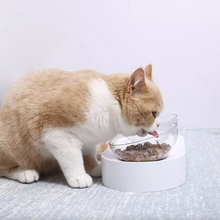 Load image into Gallery viewer, PETKIT Fresh Nano Bowl
