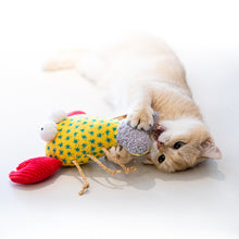 Load image into Gallery viewer, GIGWI Cat Catch &amp; Scratch Toy - Jumbo Shrimp
