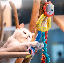 Load image into Gallery viewer, GIGWI Cat Scratch Hanging Toy with Buckle
