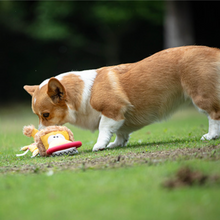 Load image into Gallery viewer, GIGWI Iron Grip Squeaking Plush Tug Toy - Lion
