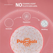 Load image into Gallery viewer, GIGWI Pop-Pals Dog Fetch Ball Chew Toy
