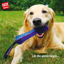 Load image into Gallery viewer, GIGWI Push to Mute Dog Toy - Jonny Stick
