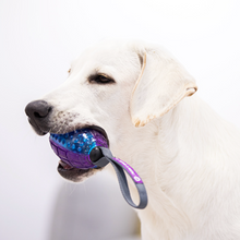 Load image into Gallery viewer, GIGWI Push to Mute Dog Toy - Dumbell
