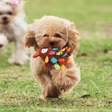 Load image into Gallery viewer, GIGWI Squeaky Dog Toy - Lion
