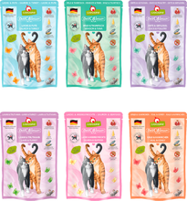 Load image into Gallery viewer, 【EXPIRED】 Past Best Before Date Collection - Cat/Dog (Final sale)
