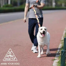 Load image into Gallery viewer, JC HOUSE Navigator Series Leash - Ninja Grey
