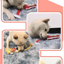 Load image into Gallery viewer, KASHIMA Condiment Ketchup Mustard Pet Toy
