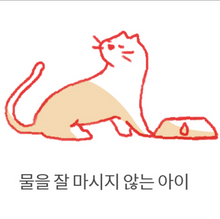 Load image into Gallery viewer, MYVEF Cranberry Pet Milk🔥
