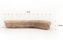 Load image into Gallery viewer, PET-EVER 生生不息 Pet Freeze-dried Treats - Chicken Necks
