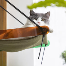 Load image into Gallery viewer, PIDAN Cat Window Perch Hammock
