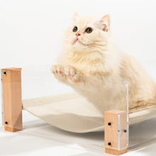 Load image into Gallery viewer, PIDAN Pet Bed Transparent Acrylic Type
