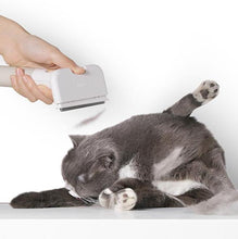 Load image into Gallery viewer, PIDAN Pet Deshedding Tool - 2 Types
