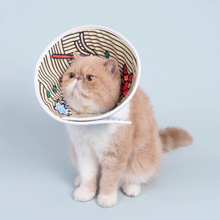 Load image into Gallery viewer, PURLAB Elizabeth Collar - Ramen Noodle
